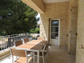 Beautiful villa in Saint Romain en Viennois with private pool